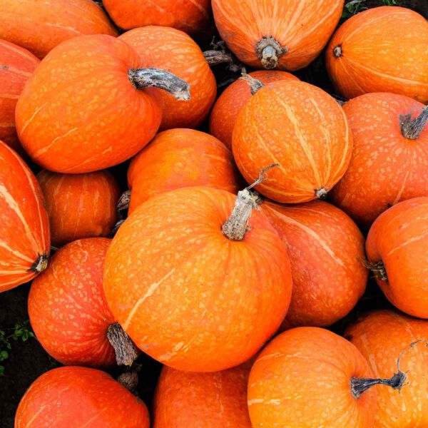 Contact Us at Farmer's Market Store Locator