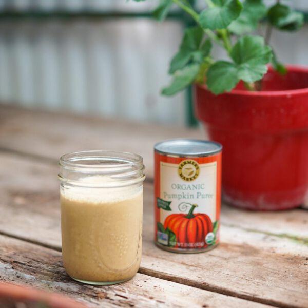 Farmer's market Pumpkin Creamer
